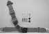 chrom-retro-statik-dreipunktgurt-grau-large.gif